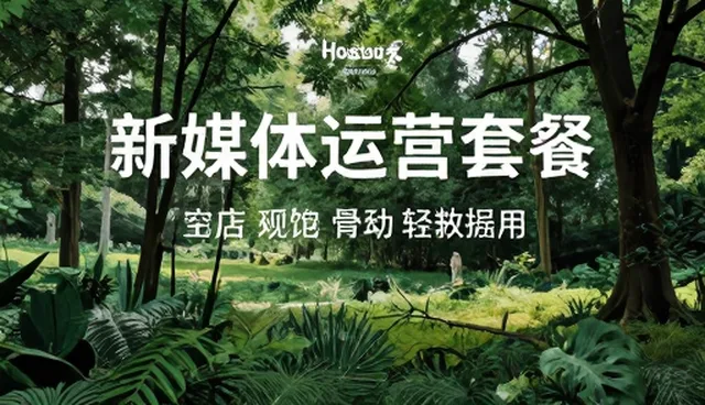 新媒体运营中资源分配的优化策略